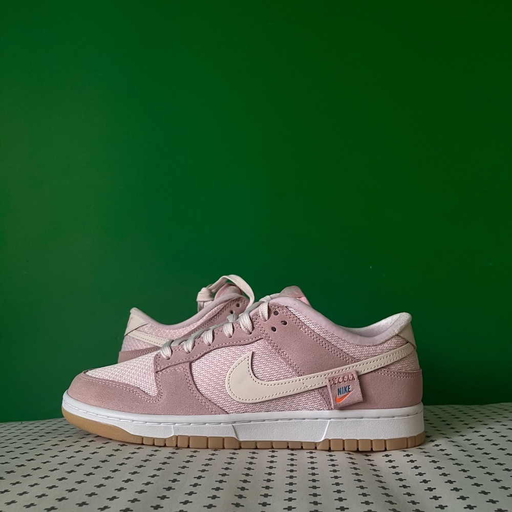 Nike Dunk Low Teddy Bear Size 11